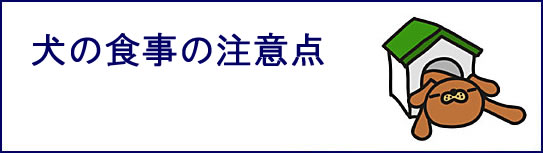 犬の食事の注意点