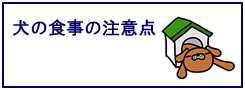 毎日の愛犬の食における注意事項